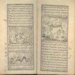 خواص الحیوان