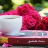 نقد کتاب ملت عشق