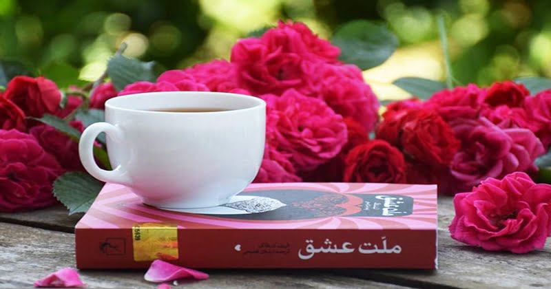 نقد کتاب ملت عشق