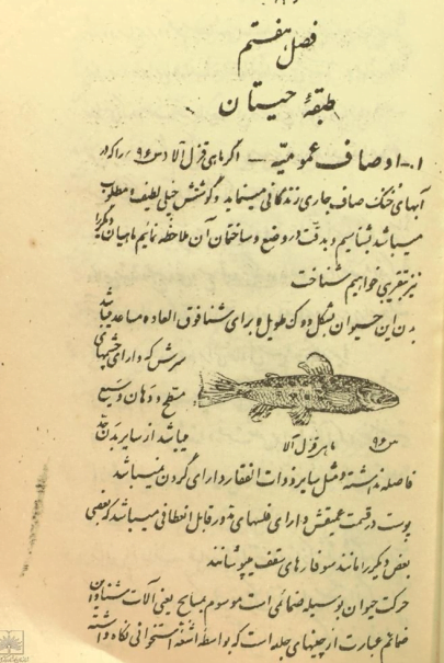 کتاب جانور شناسی قدیمی