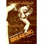 هنر دینامیکی شکستن اشیا