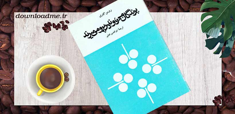 پرندگان میروند در پرو میمیرند