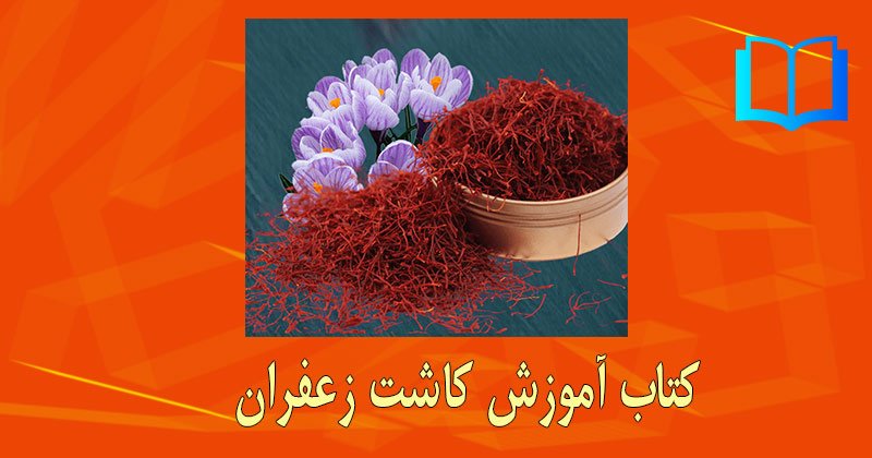 آموزش کاشت زعفران