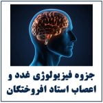 جزوه فیزیولوژی غدد و اعصاب استاد افروختگان